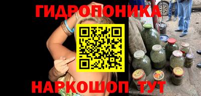 ешки Кингисепп