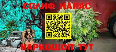 ешки Кингисепп