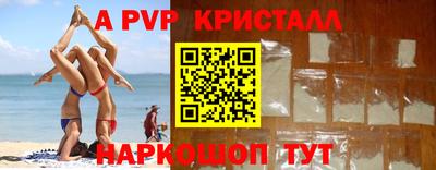 ешки Кингисепп