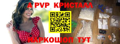 ешки Кингисепп