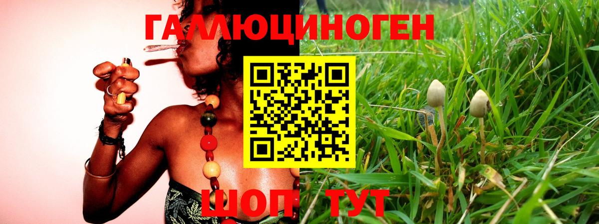 Псилоцибиновые грибы прущие грибы Кубинка