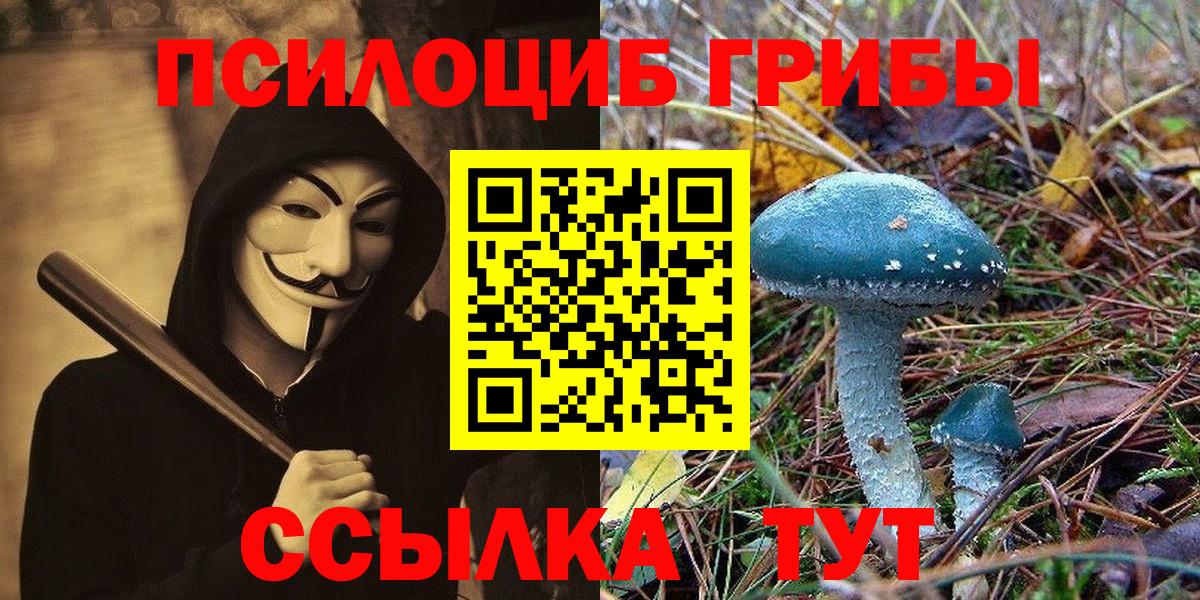 закладка  Галлюциногенные грибы Psilocybine cubensis  Кубинка  Вход с VPN  Галлюциногенные грибы прущие грибы 